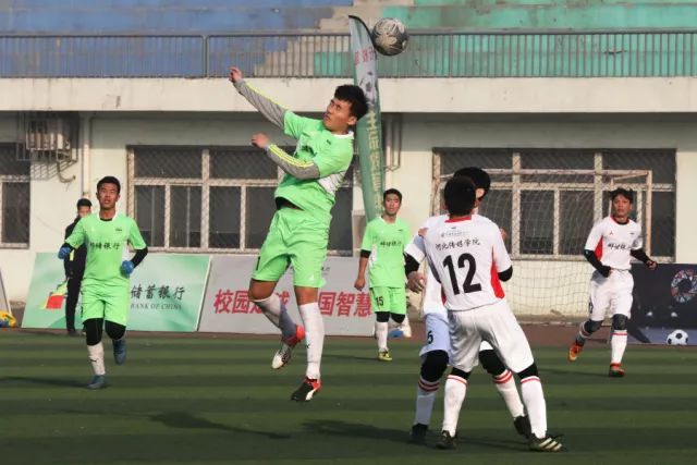 杨瀚森22+10青岛胜浙江 王哲林17分上海胜山东